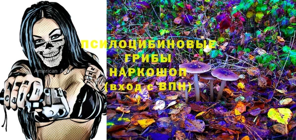 хмурый Абаза