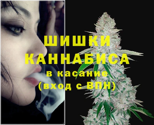 индика Абинск