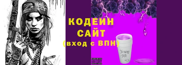 jwh Пересвет
