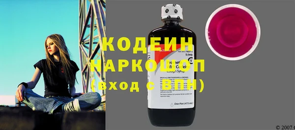 хмурый Абаза