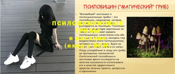 индика Абинск