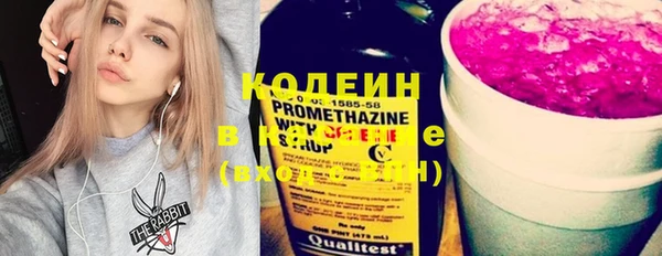 индика Абинск