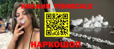бошки Кингисепп