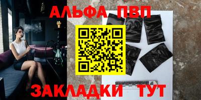 бошки Кингисепп