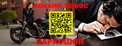 бошки Кингисепп
