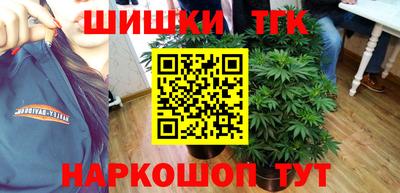 бошки Кингисепп