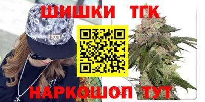 бошки Кингисепп