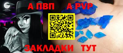 бошки Кингисепп
