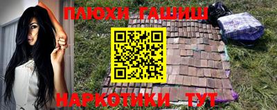 бошки Кингисепп