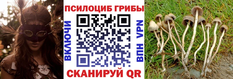 Галлюциногенные грибы MAGIC MUSHROOMS кракен зеркало Рассказово купить закладку