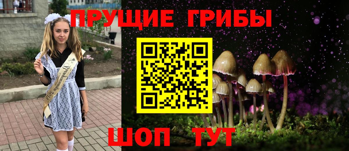 Псилоцибиновые грибы GOLDEN TEACHER  Вход с VPN  Рассказово  купить наркотики сайты  Галлюциногенные грибы ЛСД 